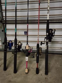 Fishing Pole With Reels Take It All For $110