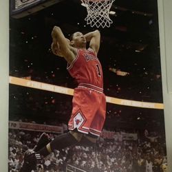 Derrick Rose Poster 