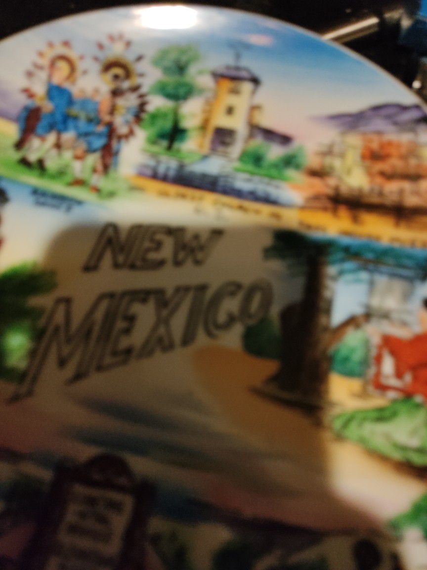 Antique New Mexico Plate 
