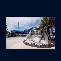 Sea World Tickets 