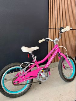 Guardian 14 inch bike