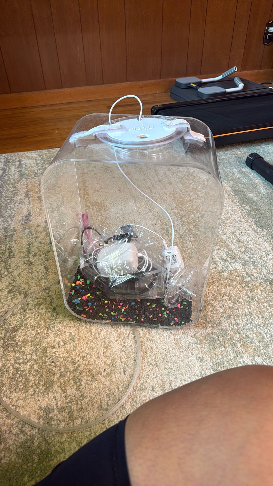 Bioorb Tank