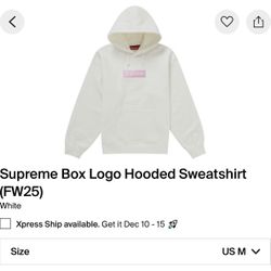 Supreme Box Logo Hooded Sweatshirt 2025 White Size Medium 