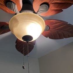Ceiling Fan