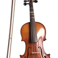 Carlo Robelli Violmaster violin