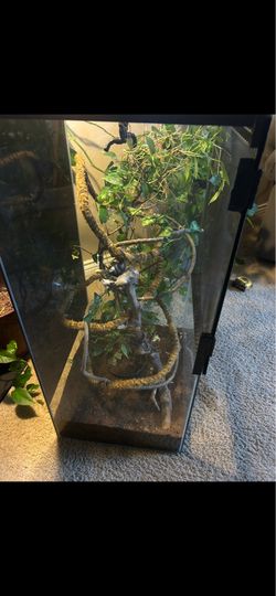 Terrarium
