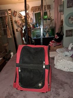 Pet Carrier/roll Along Or Backpack.