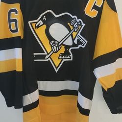 Mario Lemieux Jersey