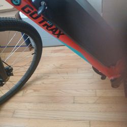 Go Trax Electric Bike 