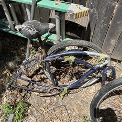 Bike frame