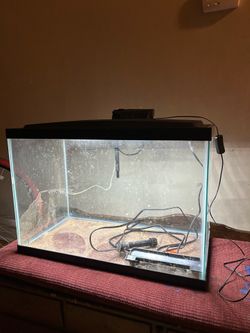 20 Gallon Fish Tank setup