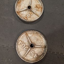 45lb Olympic Plate (Pair)