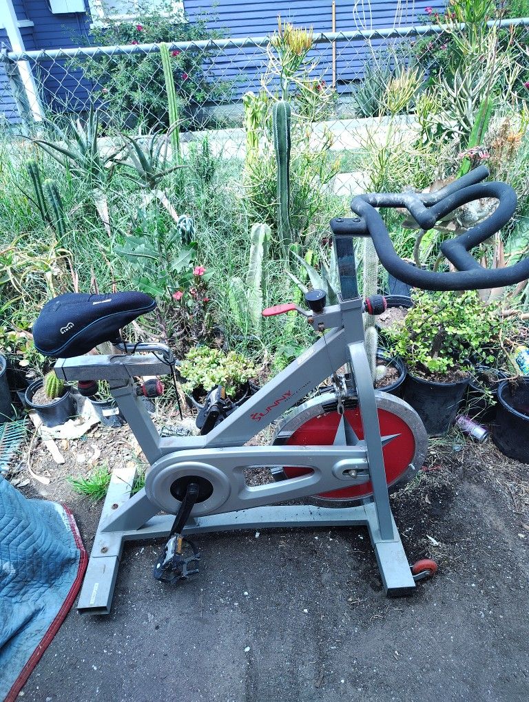 Exercise Bike Indoors