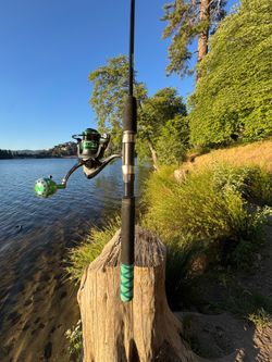 Anchor Fishing Rod (green)