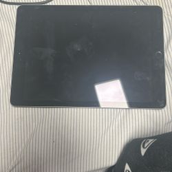 Apple iPad 