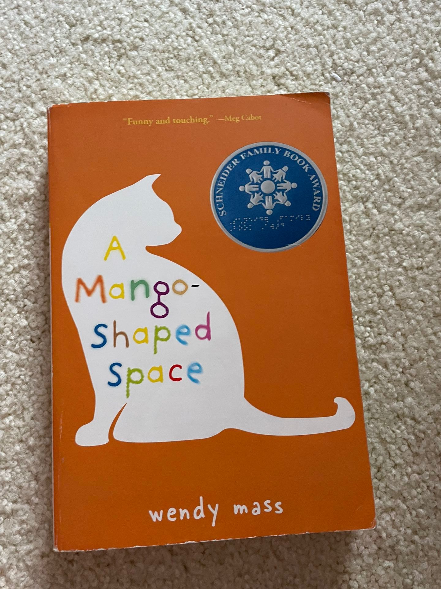 A Mango-Shaped Space by Wendy Mass (2006, Paperback)