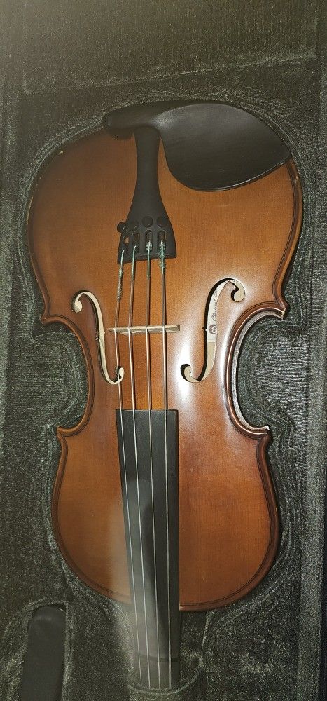 Classical Strings Student Viola 14