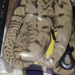 Dog Collars Leashes And Harness 