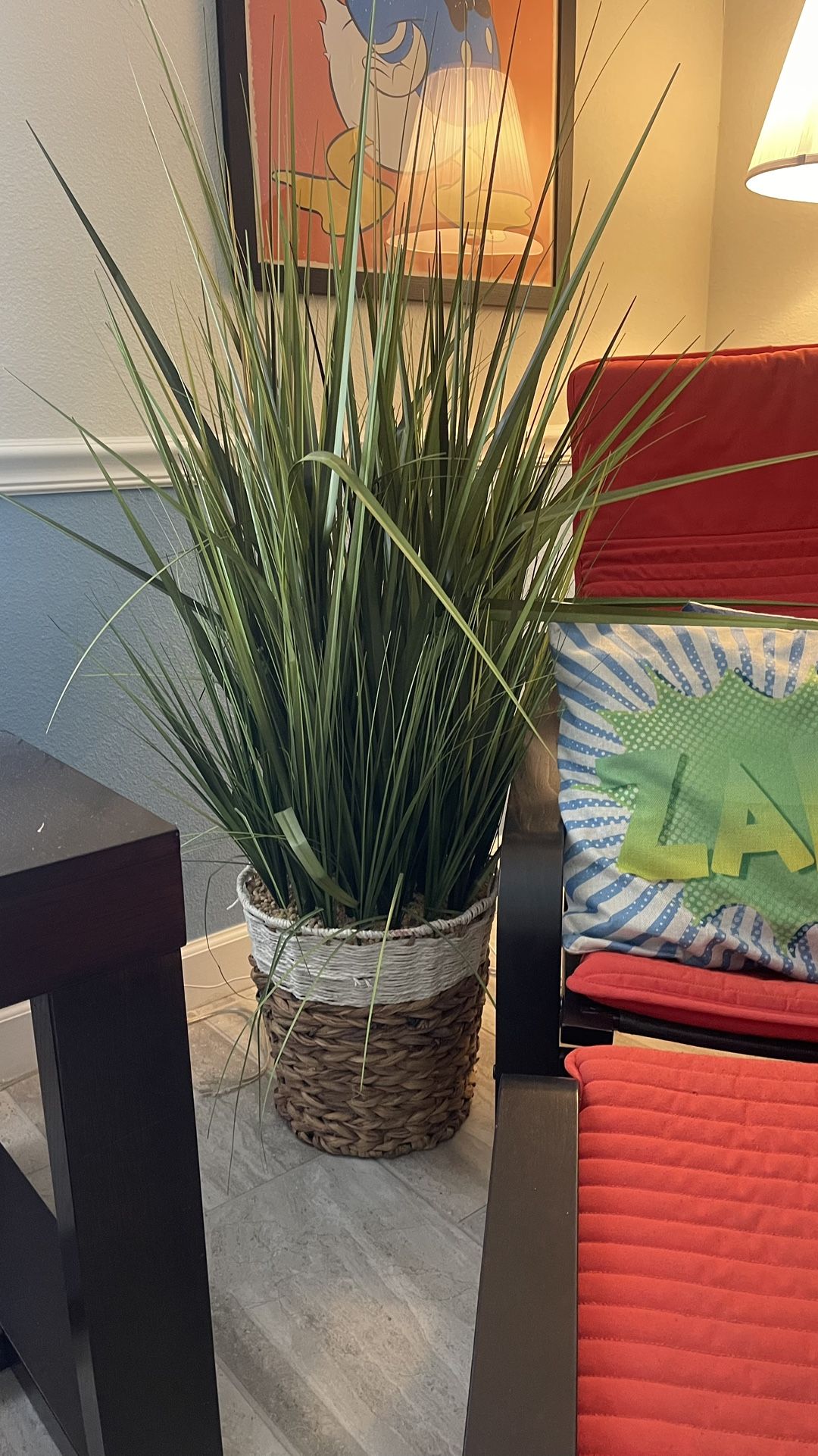 Plant / Fake / Decoration 