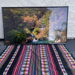 55” LG Smart TV. Works great.