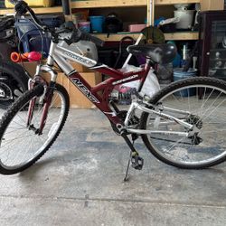 NEXT Mountain Bike