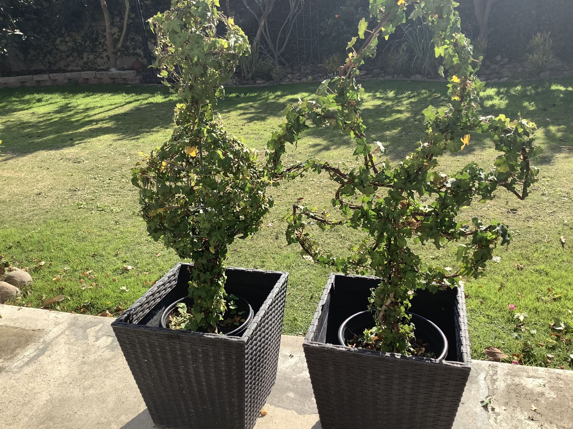 topiary wrought iron lotus flowers and 3 globes ball in pot