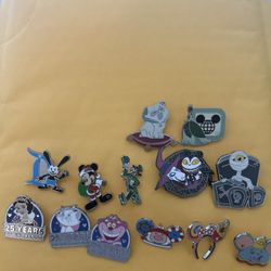 13 Pins $100