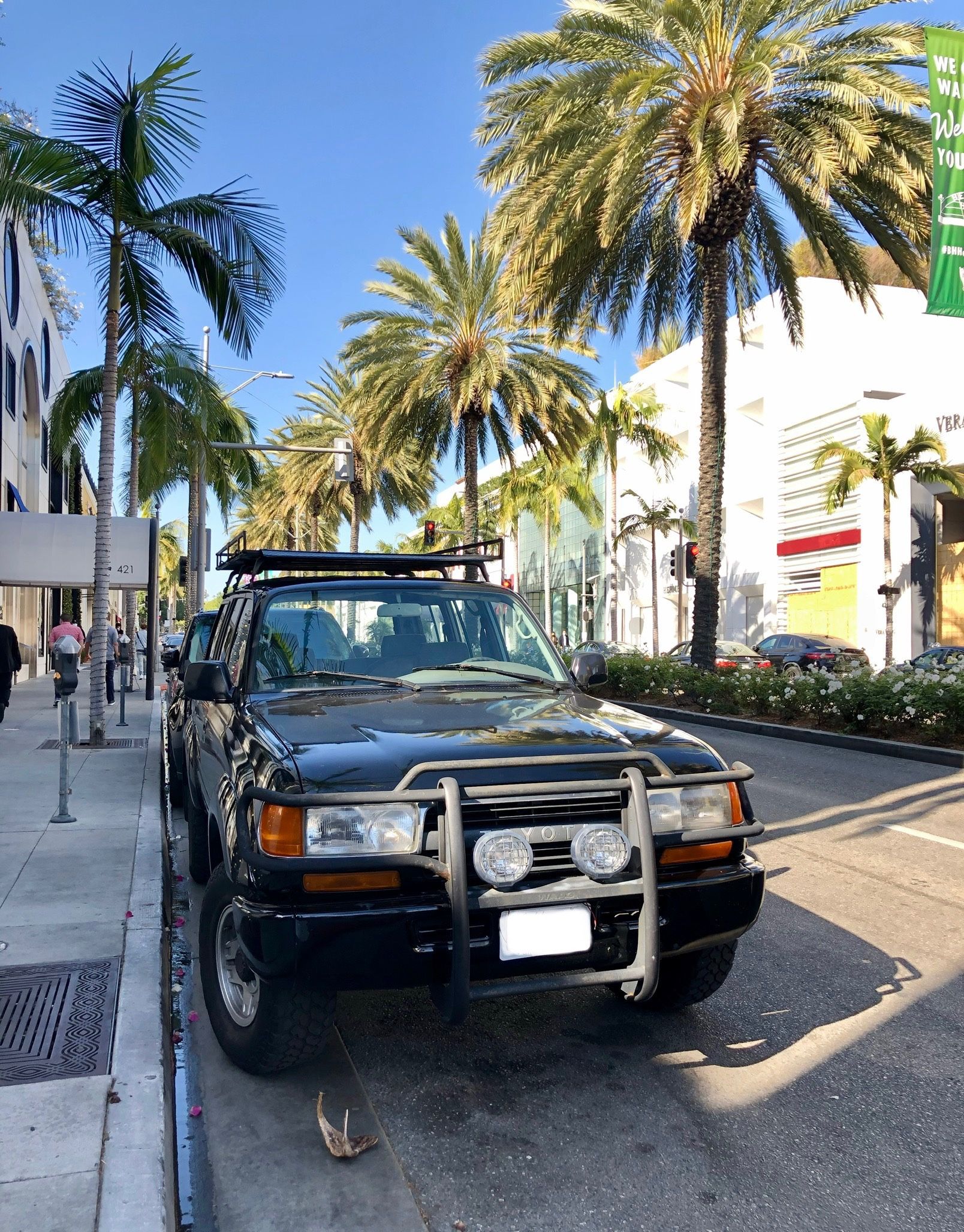 Land Cruiser WAAG Bumper Brush Guard