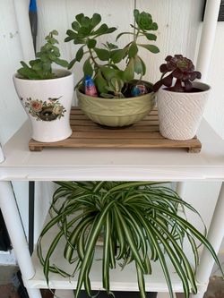 4 for $12