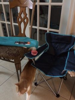 Kids Outdoor Chair Brand New