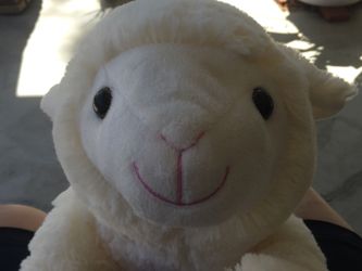 Large plush sweet white Lamb