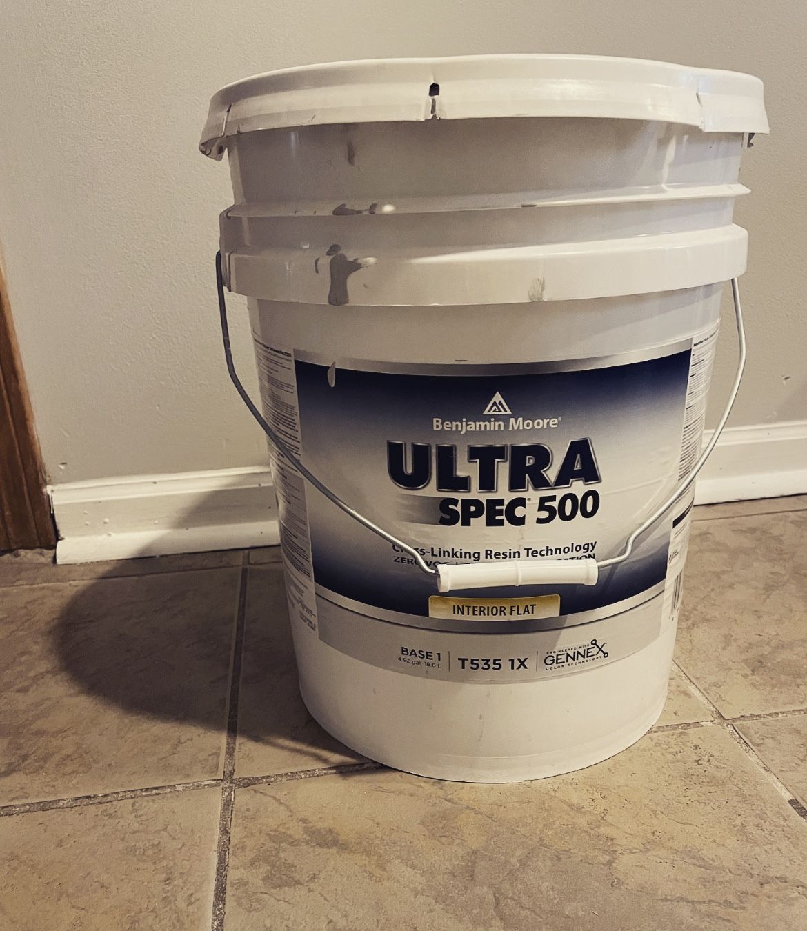 Unsealed Five Gallon Benjamin Moore Paint