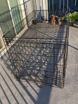 Dog Cage