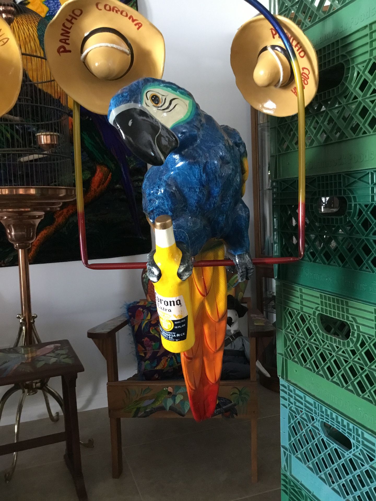 Rare Poncho Corona Parrot On A Perch