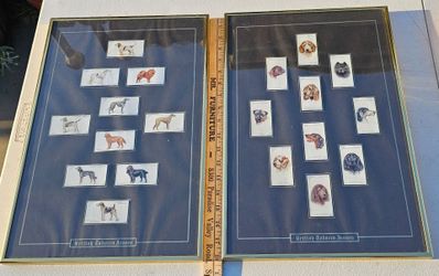 20 Framed Vintage 1920's & 1930's Tobacco Dog Cards, Original. 18 by 12.
