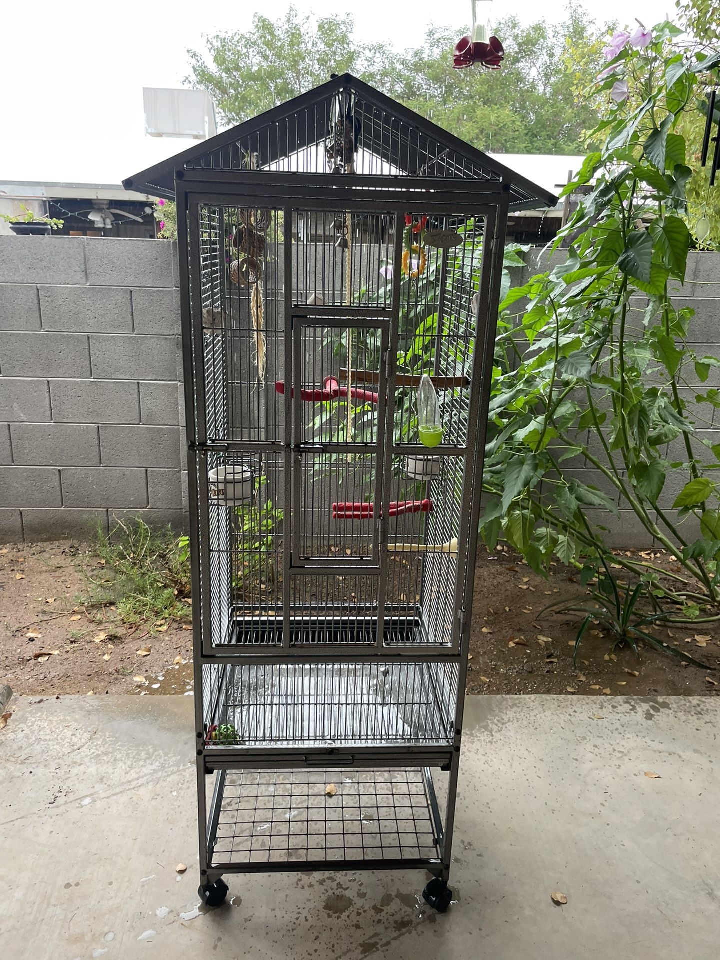 Bird Cage