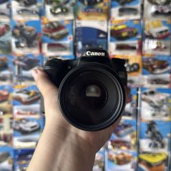 Cannon 70D w/ zoom lenses