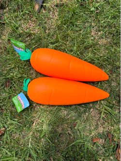Viral squishy CARROTS