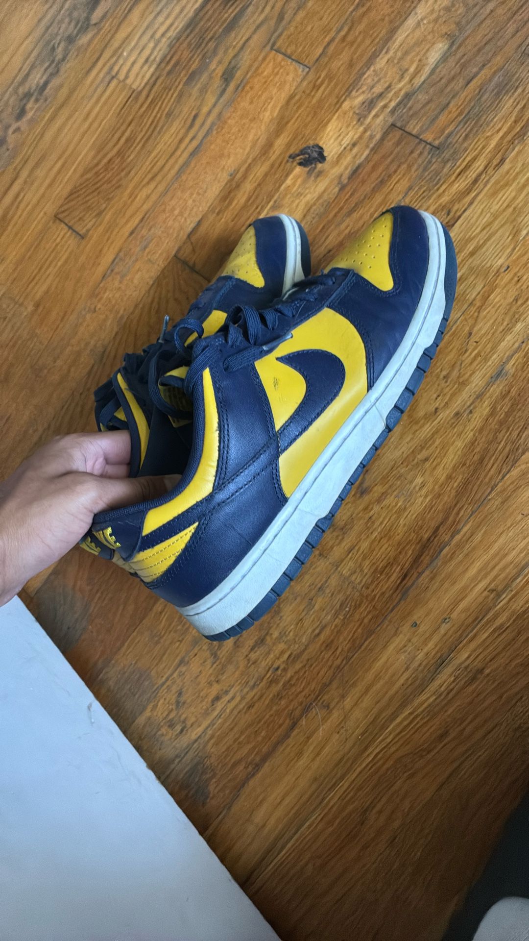 Nike Michigan Dunks Size 11