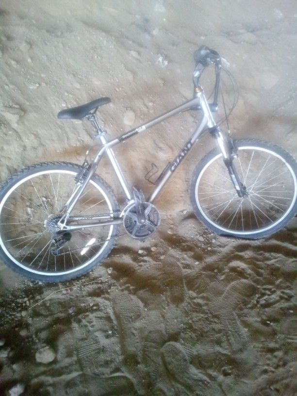 Giant Alloy Tubing Bike