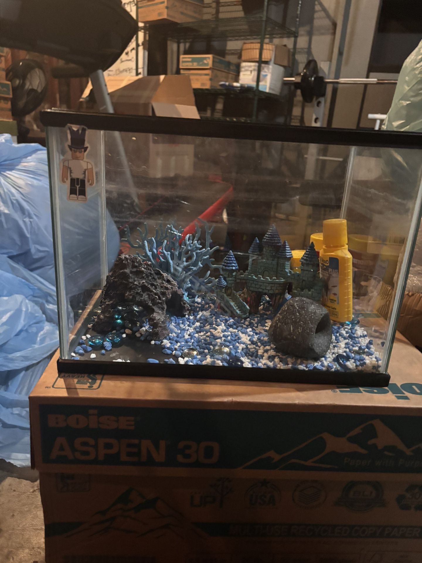 5gallon fish tank