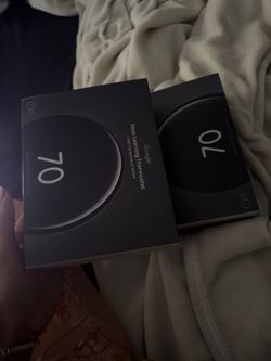 Google Nest Smart Thermostat & Learning Nest