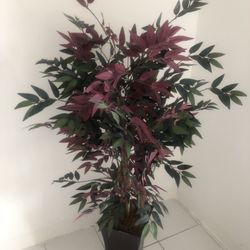 Planta  Artificial 
