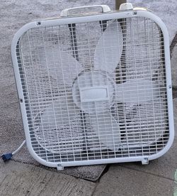Fan