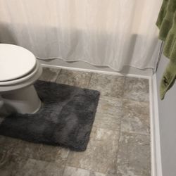 Curtain shower with rug good condition For $10