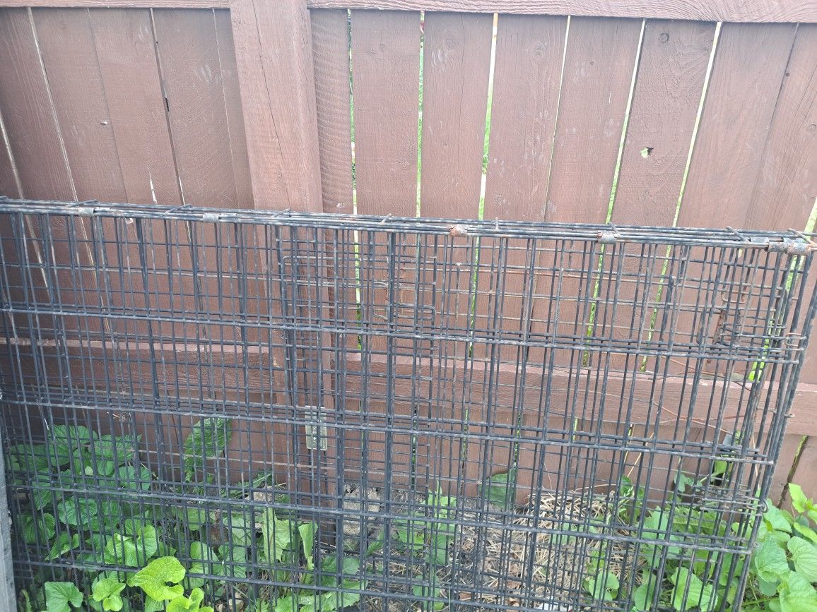 Dog Cage