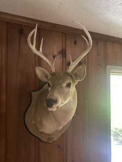 Man-Cave Decoration 