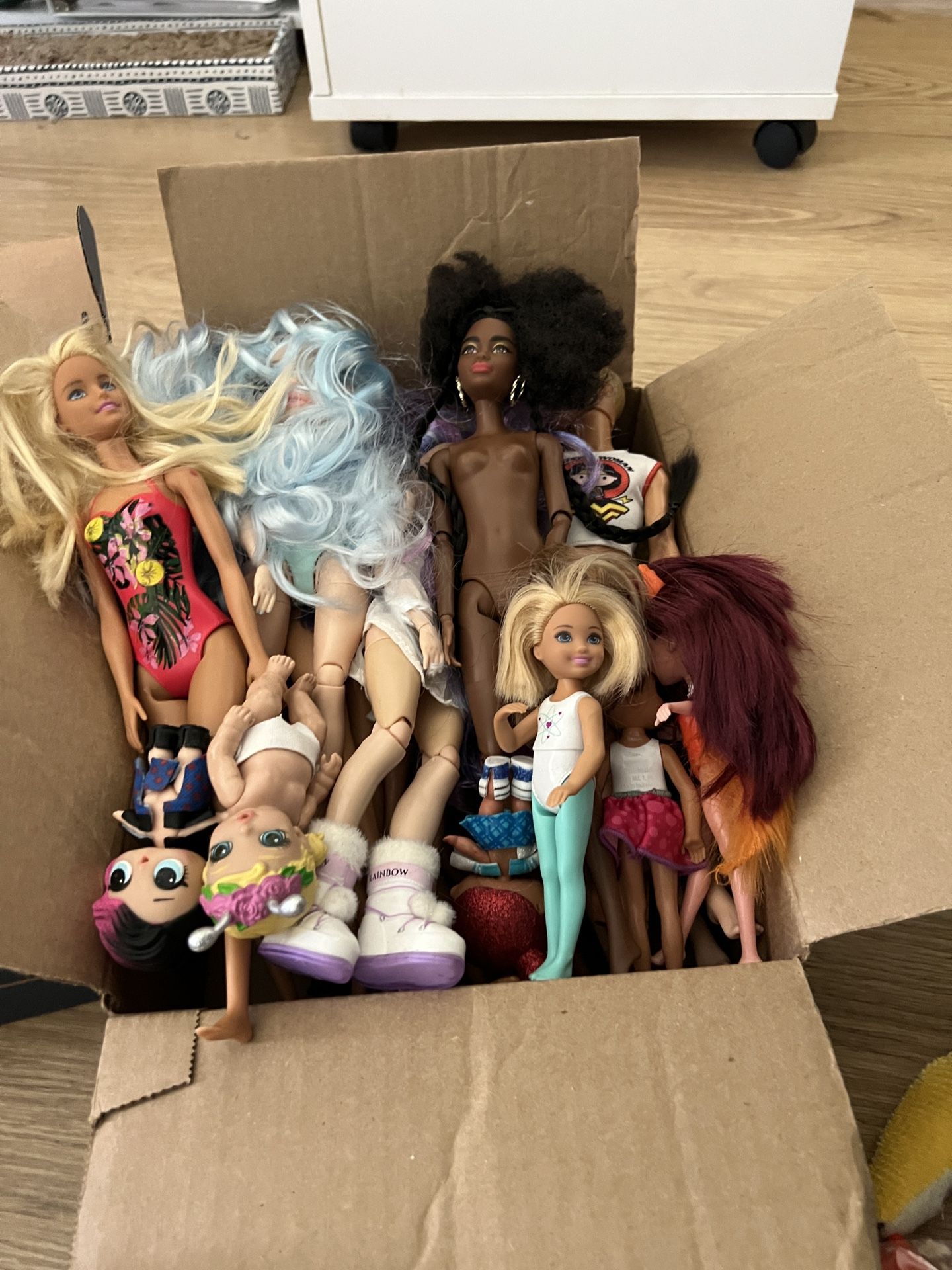 Barbie Dolls Plus
