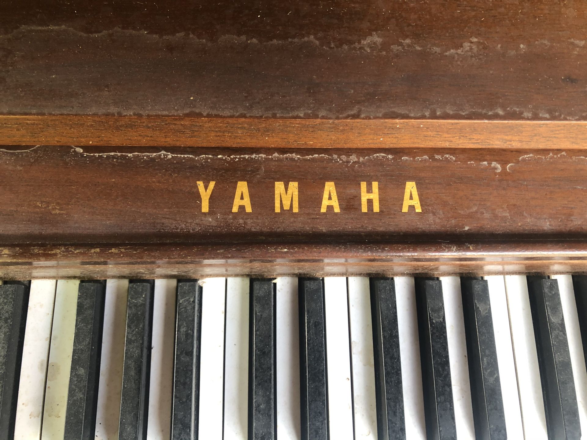 Yamaha Acoustic pianos