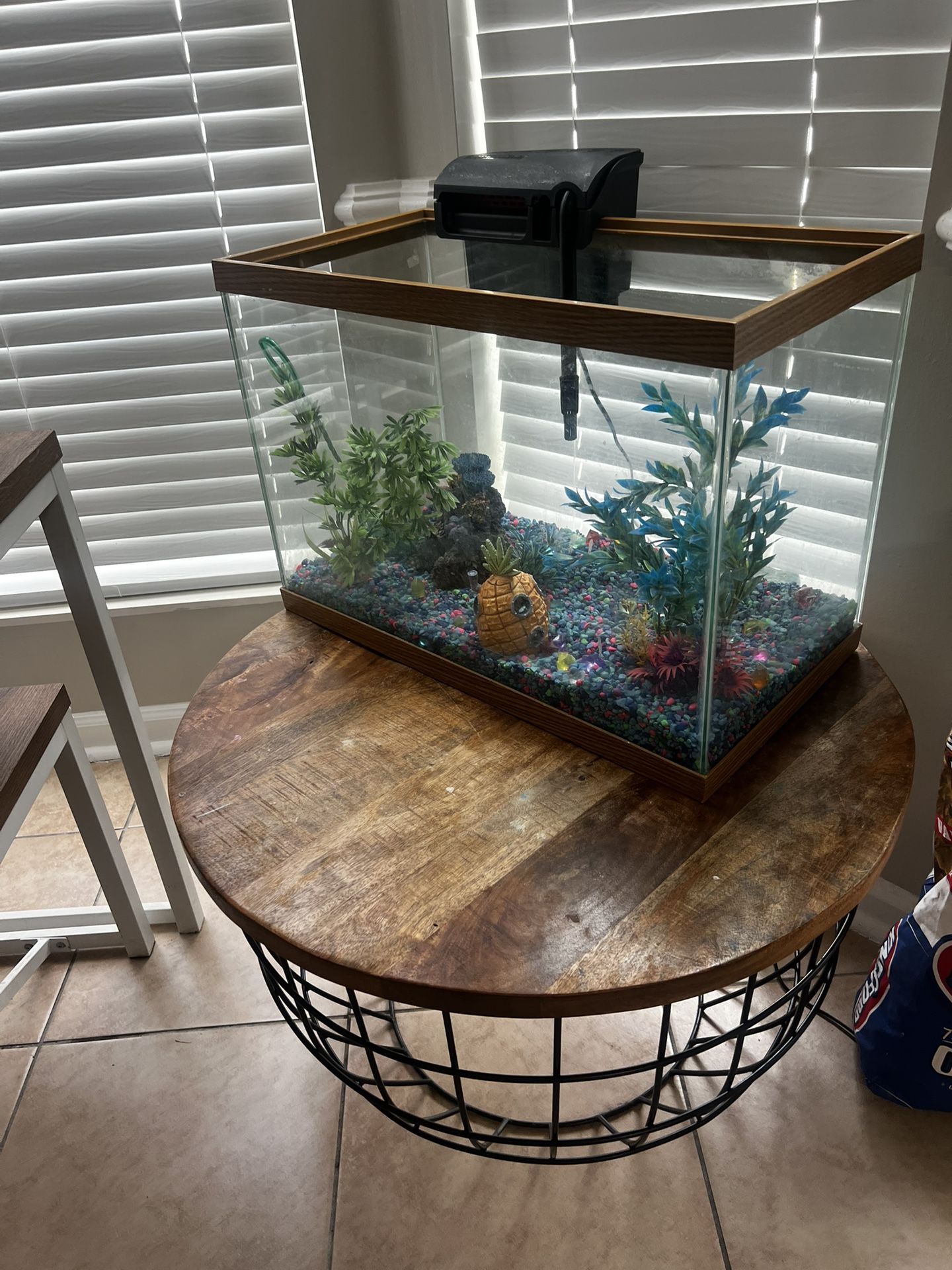 Fish Tank & Center Table